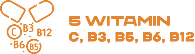 5 witamin: C, B3, B5, B6, B12